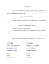 Įmonės veiklos dokumentavimas 15 puslapis