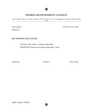 Įmonės veiklos dokumentavimas 3 puslapis