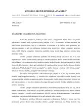 Įmonės veiklos dokumentavimas 4 puslapis