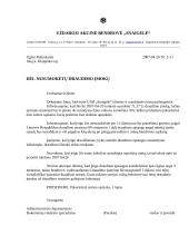 Įmonės veiklos dokumentavimas 6 puslapis