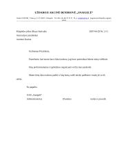 Įmonės veiklos dokumentavimas 9 puslapis