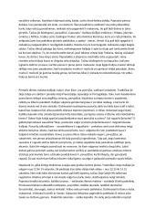 Italijos įdomybės 2 puslapis