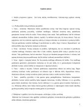 Individualus ugdymo planas mokslo metams 3 puslapis