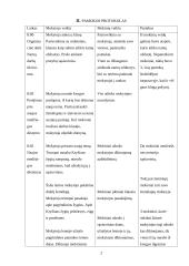 Istorijos pamokos planas: kryžiaus žygiai 2 puslapis