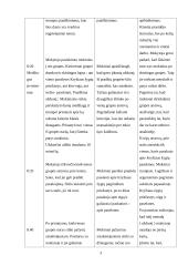 Istorijos pamokos planas: kryžiaus žygiai 3 puslapis