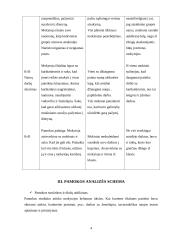 Istorijos pamokos planas: kryžiaus žygiai 4 puslapis