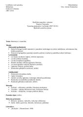 Išplėstinis braižybos pamokos planas: matmenys ir masteliai 2 puslapis