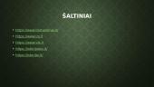 Gyvenimas sovietų Lietuvoje (skaidrės) 11 puslapis