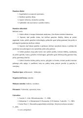 Išplėstinis pamokos planas: pasiūla 3 puslapis