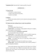 Išplėstinis pamokos planas: pasiūla 4 puslapis