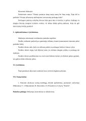 Išplėstinis pamokos planas: pasiūla 7 puslapis