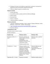 Išplėstinis pamokos planas: Pilietinės visuomenės pagrindai 2 puslapis