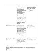 Išplėstinis pamokos planas: Pilietinės visuomenės pagrindai 3 puslapis