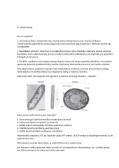 Citologija 5 puslapis