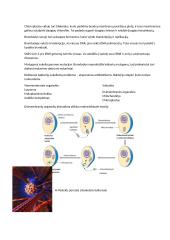 Citologija 6 puslapis