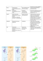 Fiziologija. Šalinimo sistema 3 puslapis