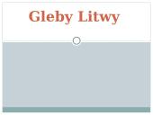 Gleby Litwy