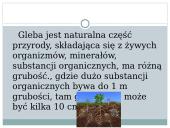 Gleby Litwy 2 puslapis