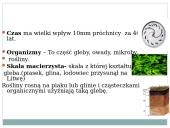 Gleby Litwy 11 puslapis
