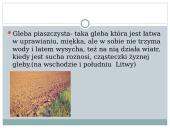 Gleby Litwy 12 puslapis