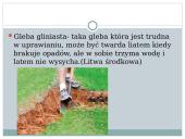 Gleby Litwy 13 puslapis