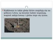 Gleby Litwy 14 puslapis