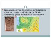 Gleby Litwy 16 puslapis