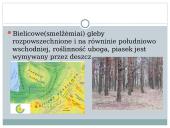 Gleby Litwy 17 puslapis