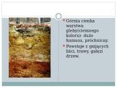 Gleby Litwy 4 puslapis