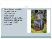 Gleby Litwy 5 puslapis