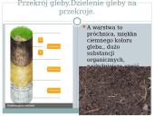 Gleby Litwy 7 puslapis