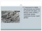 Gleby Litwy 9 puslapis