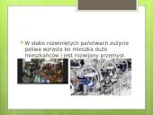 Zasoby – napędem gospodarki 17 puslapis