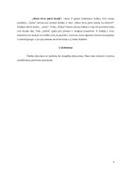 Išplėstinis užsiėmimo planas 6 puslapis