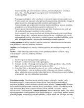 Vaikų elgesio ir emocijų sutrikimų supratimas: traumų įtakos gerovei ir veiksmingų intervencijų ištyrimas 4 puslapis