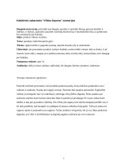 Kalėdinė vakaronė "Vilties liepsna"