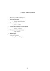 Kalėdinė vakaronė "Vilties liepsna" 2 puslapis