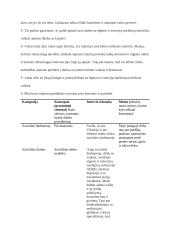 Interviu išrašas su socialine darbuotoja 5 puslapis