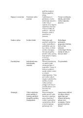 Interviu išrašas su socialine darbuotoja 6 puslapis