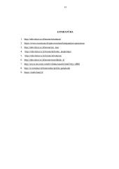 Įmonės AB ,,Novaturas‘‘ veiklos analizė 12 puslapis