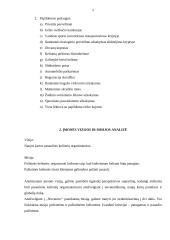 Įmonės AB ,,Novaturas‘‘ veiklos analizė 4 puslapis