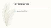 Skaidrės: hidroelektrinės 14 puslapis
