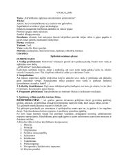 Kūrybiškumo ugdymas netradicinėmis priemonėmis 2 puslapis