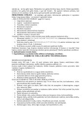 Kūrybiškumo ugdymas netradicinėmis priemonėmis 4 puslapis