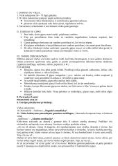 Kūrybiškumo ugdymas netradicinėmis priemonėmis 5 puslapis