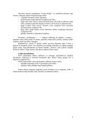 Laiškų spausdinimas 2 puslapis