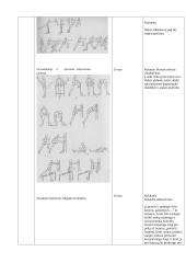 Lengvosios atletikos barjerinio bėgimo pamokos planas-konspektas 2 puslapis