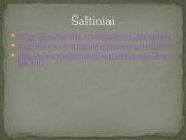 Jonas Jablonskis. Skaidrės 8 puslapis