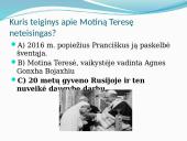 Motina Teresė 2 puslapis