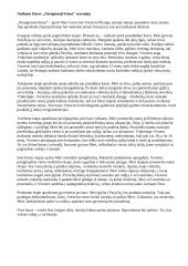 Anthony Doerr „Neregimoji šviesa” recenzija